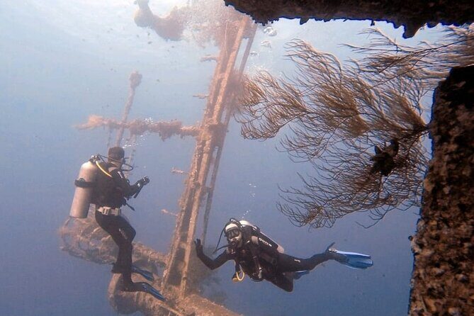 Aqaba Private Scuba Diving Activity with Pick Up - Key Points