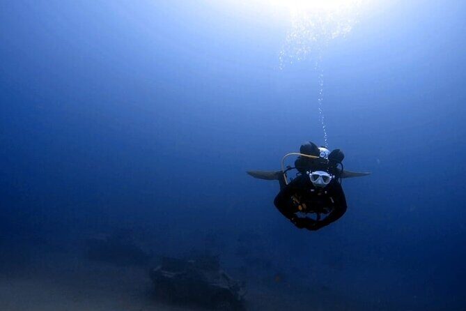 Aqaba Private Scuba Diving Activity with Pick Up - Who is This Tour Best For?