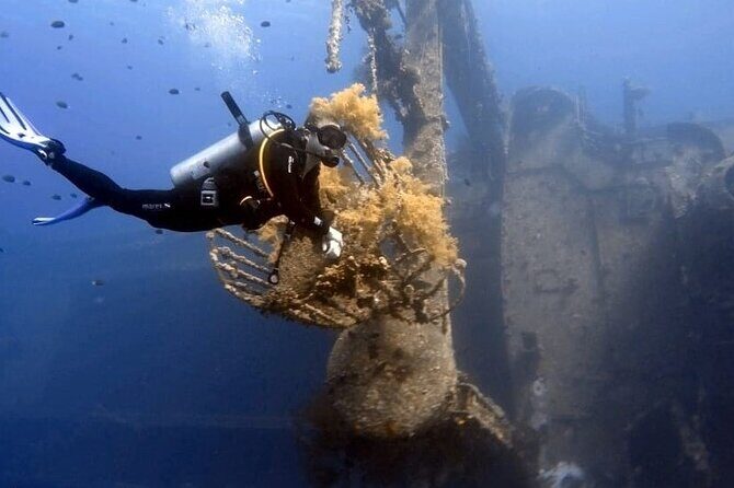 Aqaba Private Scuba Diving Activity with Pick Up - Practical Tips Before You Go