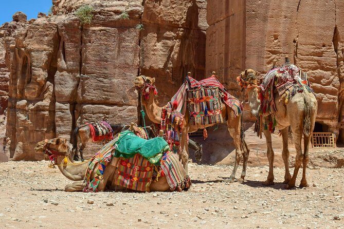 Aqaba Shore Excursion: Private Petra Sightseeing Tour with Lunch - Why Choose This Petra Shore Excursion?
