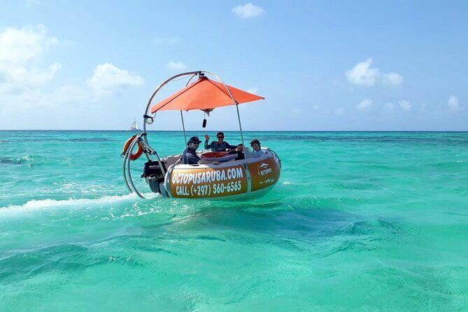 Aqua Donut Private Boat - Introducing the Aqua Donut Private Boat Experience