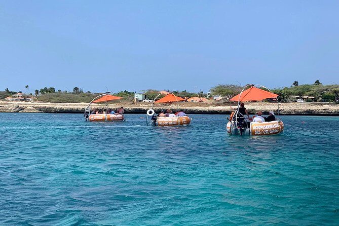 Aqua Donut Private Boat - Who Will Get the Most from This Tour?