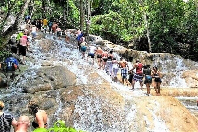 Aqua Fun Tours Dunns Falls, River Tubing and Horse Back - Who Will Love This Tour?