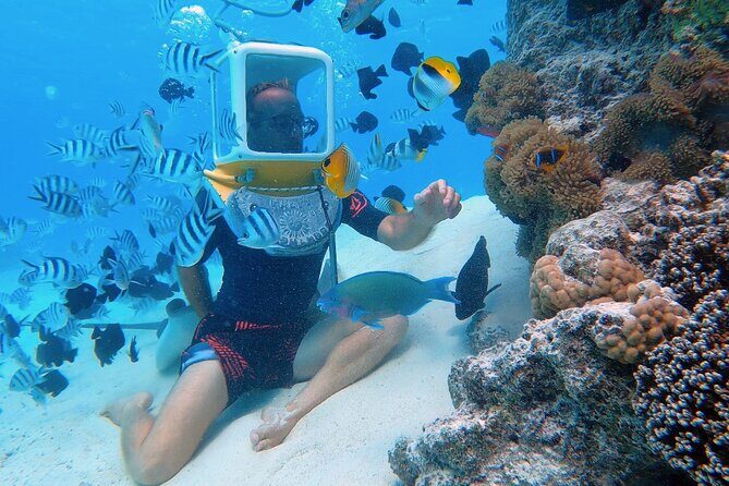 Aqua Safari Introductory Helmet Dive (Underwater Walk) - Introduction