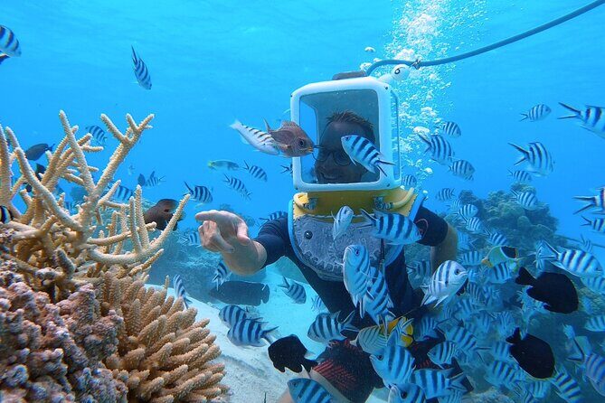 Aqua Safari Introductory Helmet Dive (Underwater Walk) - Key Points