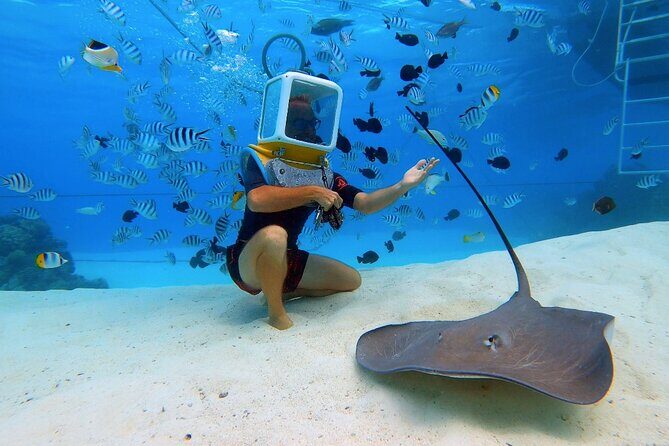Aqua Safari Introductory Helmet Dive (Underwater Walk) - FAQ