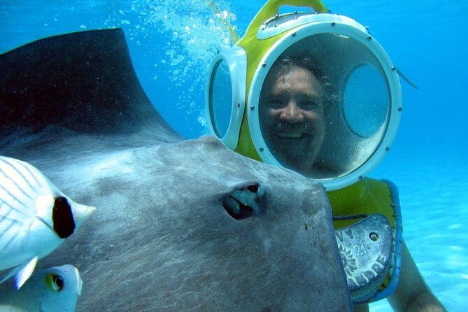 Aquablue Moorea - The Experience: What to Expect at Each Step