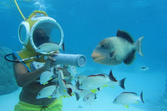 Aquablue Moorea - Who Should Book This Tour?