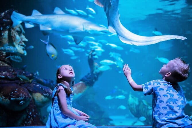 Aquaria Phuket and 4D Trickeye Museum Experience Ticket - A Deep Dive Into What You’ll Experience