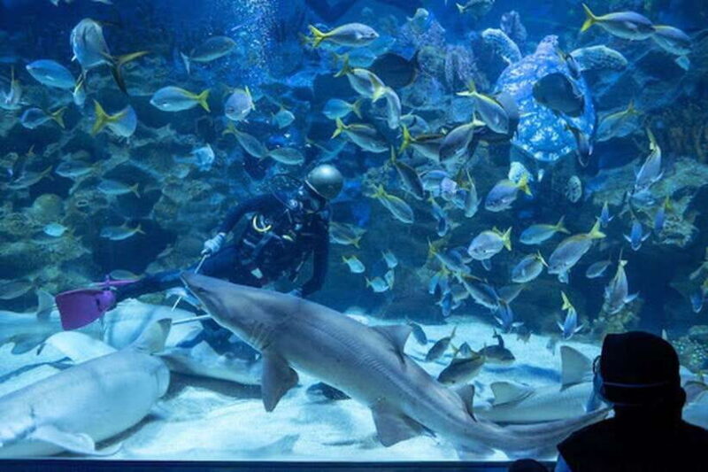 Aquarium KLCC, KL Tower, TRX, and PNB 118 Tour - A Closer Look at the Attractions