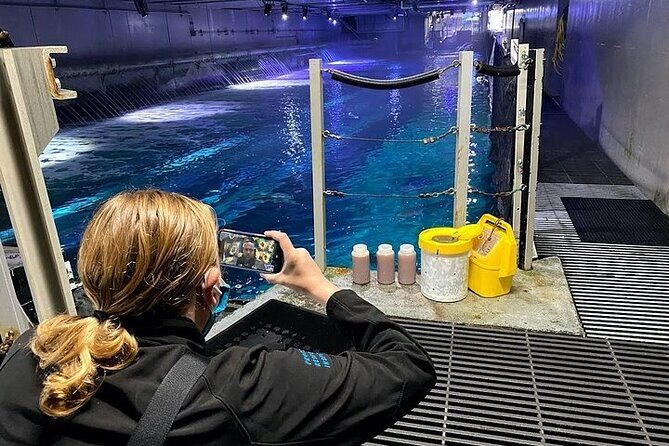 Aquarium of the Bay VIP Experience - The Value of the Experience