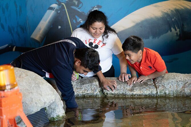 Aquarium of the Bay VIP Experience - The Sum Up