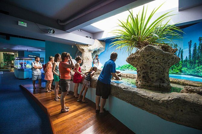Aquarium Package in Nouméa's with Admission with Hop-on Hop-Off - What to Expect from the Aquarium and the Tour