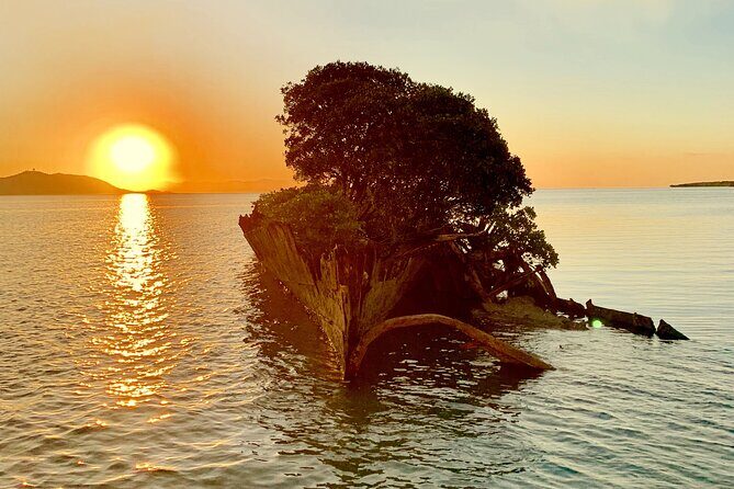 Aquascene Magnetic Island Sunset & Shipwreck Tour - Who Will Love This Tour?