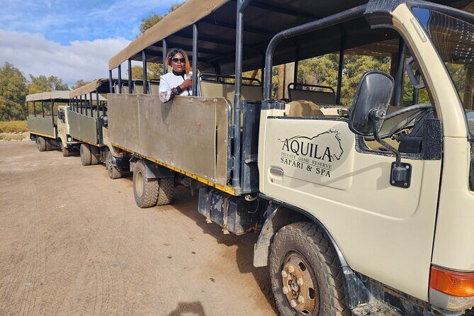 Aquila big five safari with transport, lunch Exclusive park fee. - Key Points