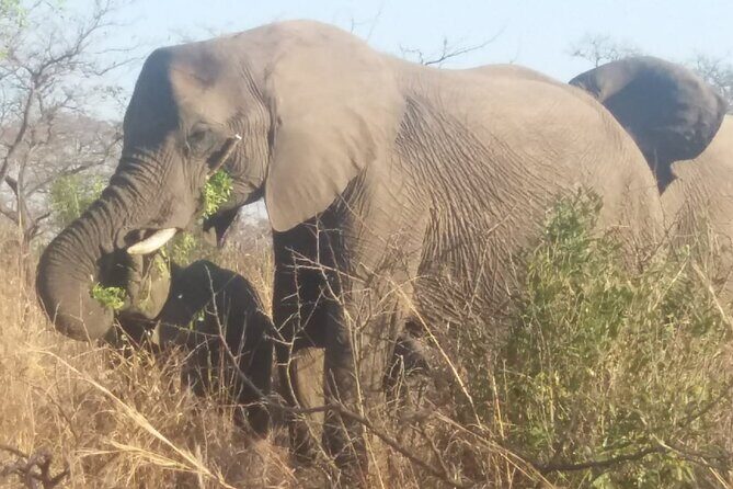 Aquila big five safari with transport, lunch Exclusive park fee. - Final Thoughts