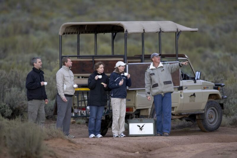 Aquila Game Reserve: Afternoon Safari - The Experience: A Detailed Look at the Safari Day