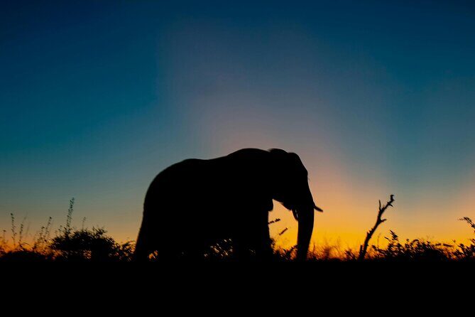 Aquila Game Reserve Sunset Safari - Experience the Magic of the Aquila Game Reserve Sunset Safari