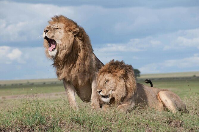 Aquila Game Reserve Sunset Safari - What Makes This Safari Special?