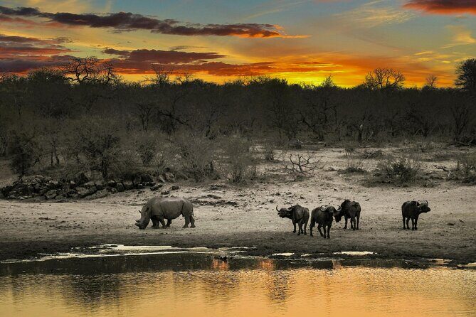 Aquila Game Reserve Sunset Safari - What Travelers Say
