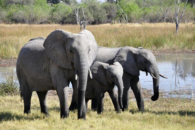 Aquila Game Reserve Sunset Safari - Is It Worth the Price?