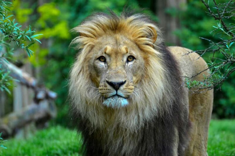 Aquila sunset safari Game reserve Group Tour - A Closer Look at the Itinerary
