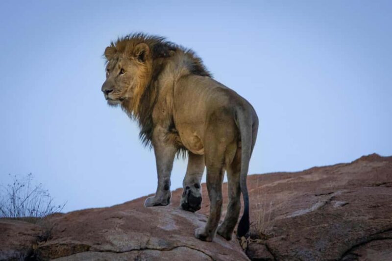 Aquila sunset safari Game reserve Group Tour - Who Will Love This Tour?