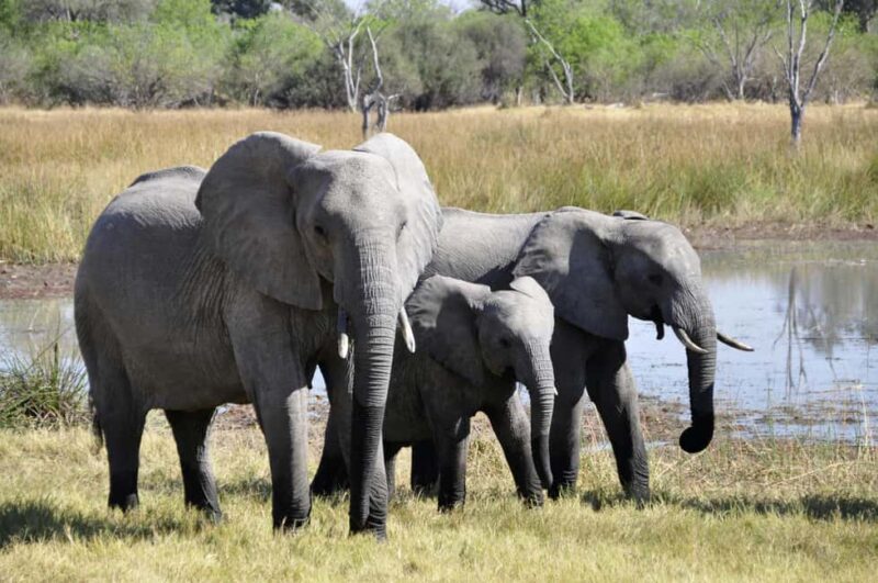 Aquila sunset safari Game reserve Group Tour - FAQs About the Aquila Sunset Safari Group Tour