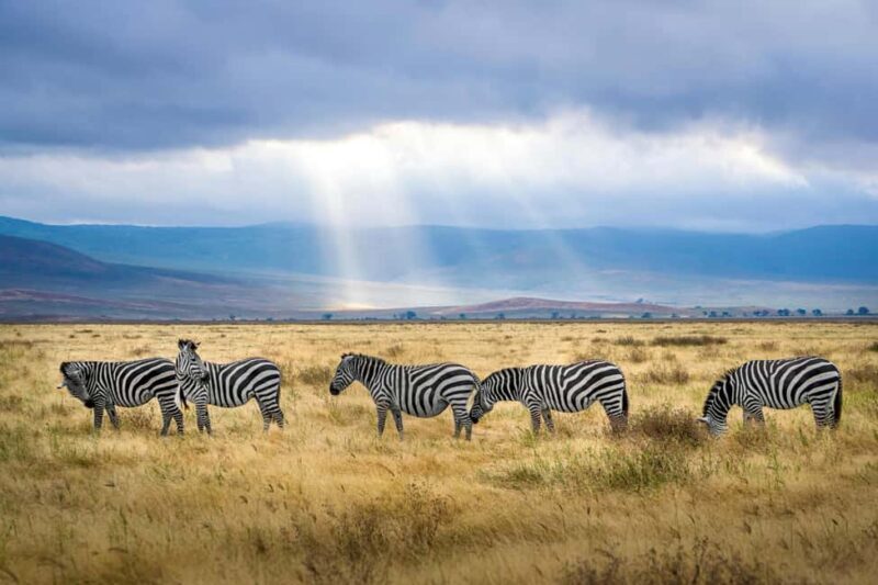Aquila sunset safari Game reserve Group Tour - Final Thoughts