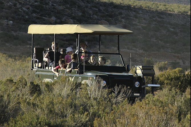 Aquilla BIG5 private Safari Cape Town - Final Thoughts: Is It Worth It?