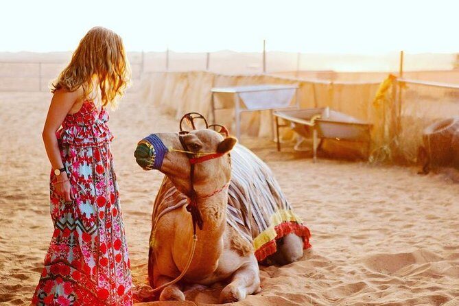 Arabian Desert Safari with BBQ Dinner Camel Ride, Sand Boarding - The Sum Up