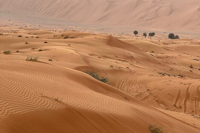 Arabian Dune Buggy Adventure - Dune Driving and Photography Opportunities