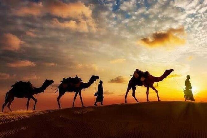 Arabian Night with Cultural Show - Exploring the Itinerary: What to Expect