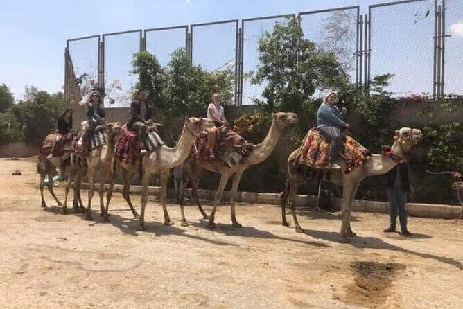 Arabian Nights immersion Pyramids Horse,camel Ride,Bedouin Tea - Ideal For