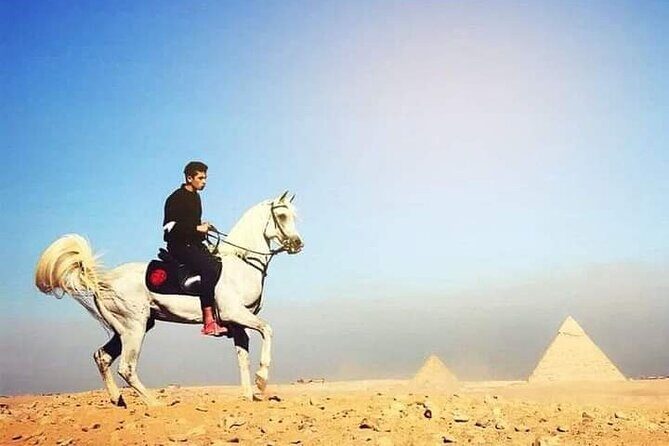 Arabian Nights immersion Pyramids Horse,camel Ride,Bedouin Tea - The Sum Up