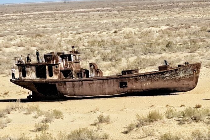 Aral Sea One Day Tour from Tashkent - An In-Depth Look at the Tour Experience
