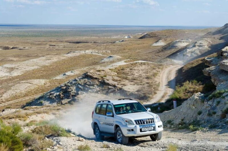 Aral Sea One Day Trip from Nukus. - Practical Details and Tips