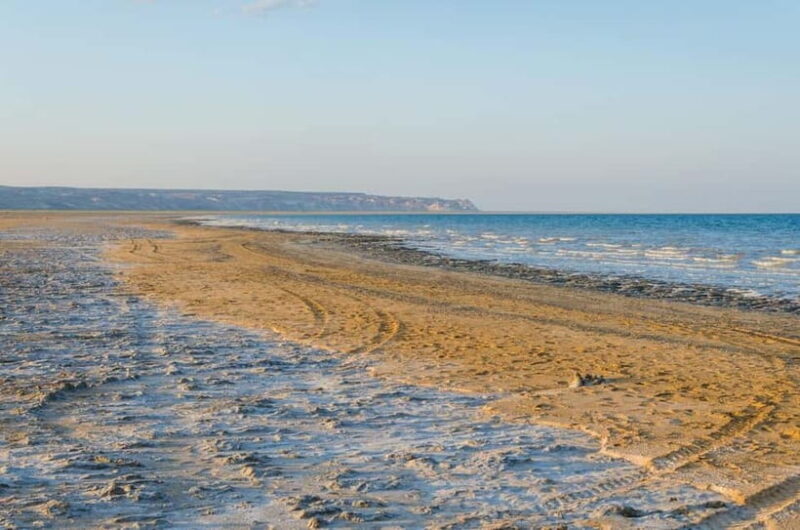 Aral Sea One Day Trip from Nukus. - The Sum Up