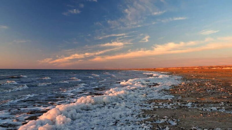 Aral Sea Tour from Nukus 1 night / 2 days - Practical Information and Tips