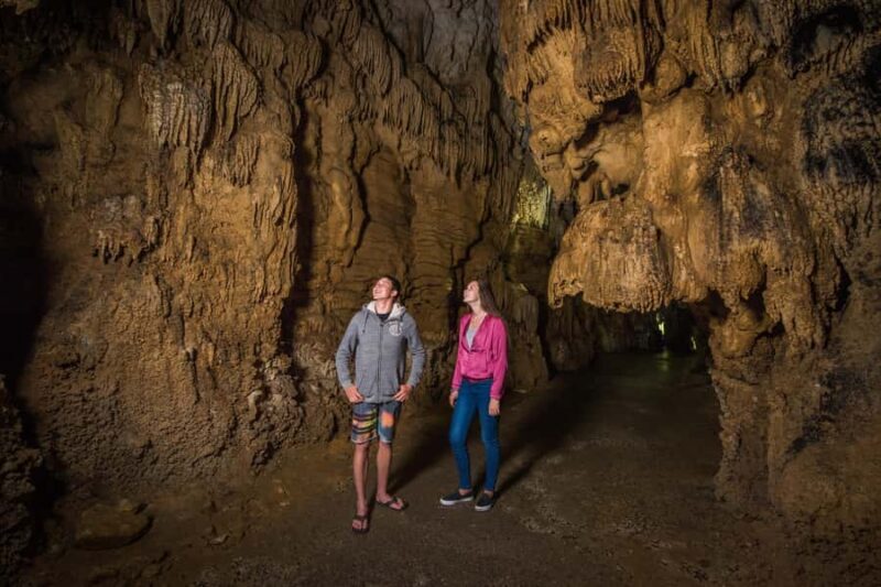 Aranui Cave 1-Hour Guided Tour - Final Thoughts