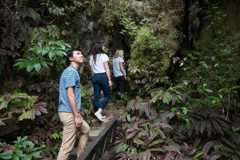Aranui Cave 1-Hour Guided Tour - FAQ