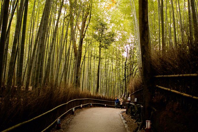 Arashiyama Bamboo Forest E-Biking Tour - The Itinerary — A Closer Look