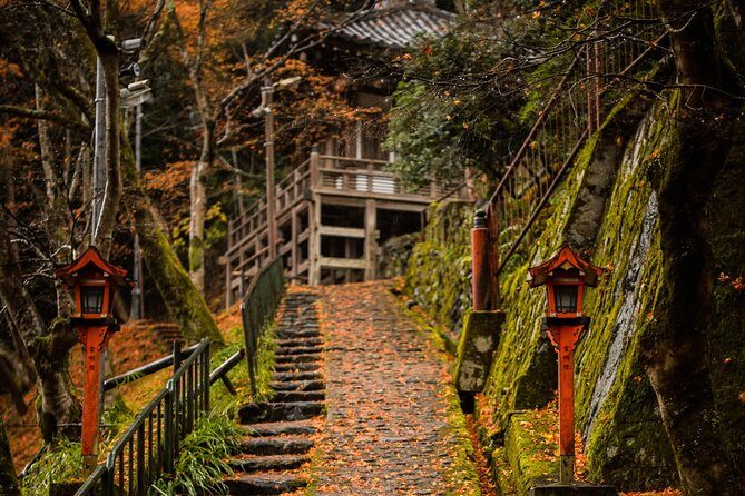 Arashiyama Bamboo Forest E-Biking Tour - What’s Included and What to Consider