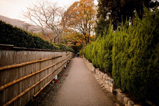 Arashiyama Bamboo Forest E-Biking Tour - Who Would Enjoy This Tour?