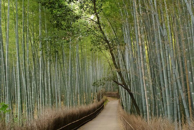 Arashiyama Bamboo Forest E-Biking Tour - FAQs