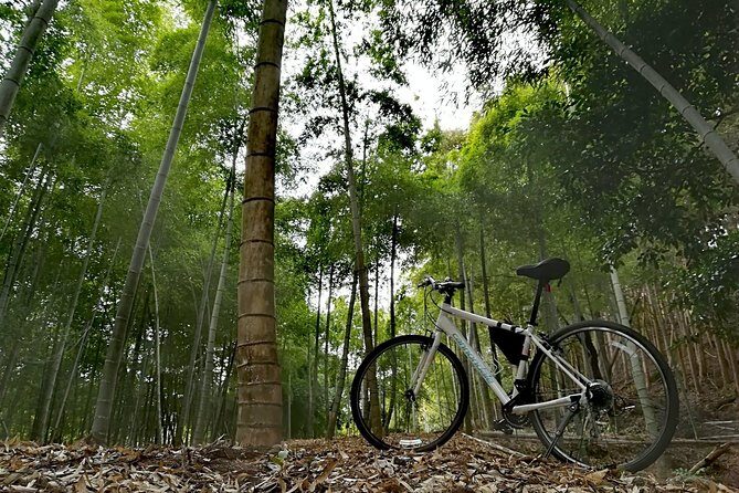 Arashiyama Bamboo Forest & Hidden Gems Bike Tour (Early Bird) - The Sum Up: Who Will Love This Tour?