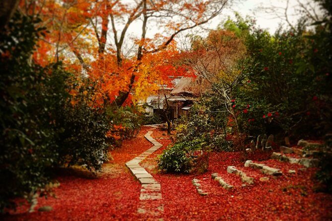 Arashiyama Bamboo Forest & Hidden Gems Bike Tour (Early Bird) - FAQs