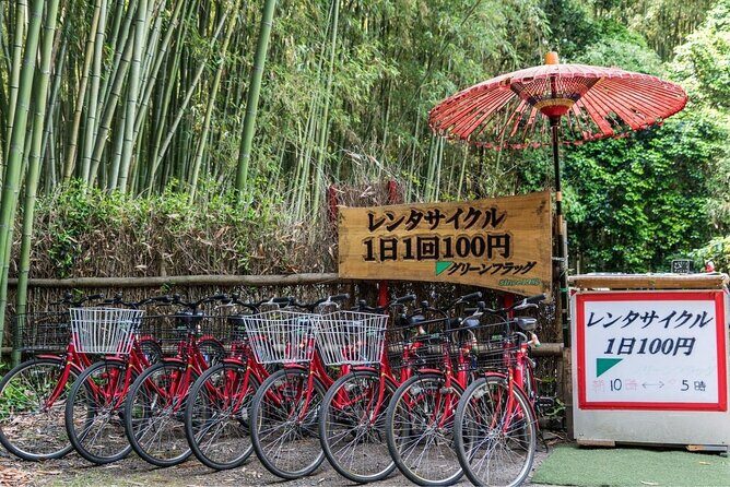 Arashiyama Bamboo Grove Day Trip from Kyoto with a Local: Private & Personalized - Final Thoughts: Who Is This Tour For?