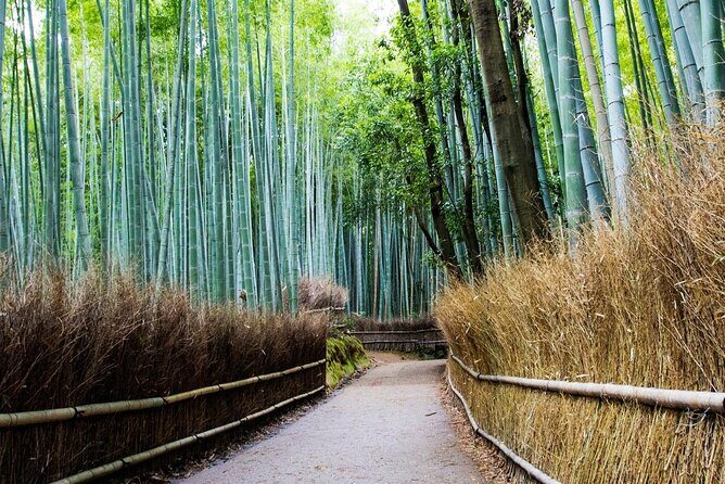 Arashiyama Bamboo Grove Day Trip from Kyoto with a Local: Private & Personalized - In Closing