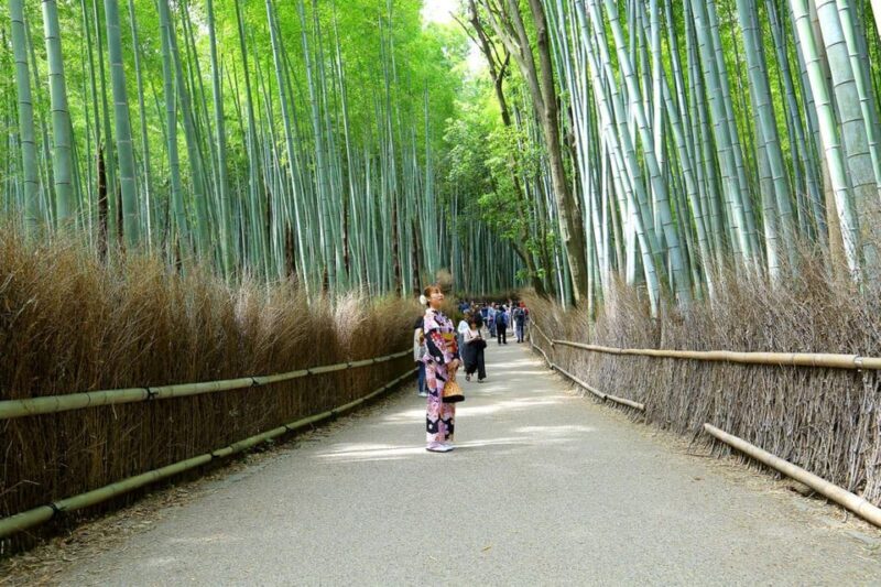 Arashiyama Highlights with Matcha Experience - Part 2: The Matcha Tea Ceremony — An Authentic Cultural Experience
